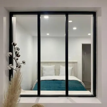 Apartment Colmar,appart Chaleureux 2 Pas Centre Avec Jardin