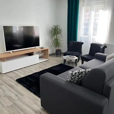 Apartment Colmar,appart Chaleureux 2 Pas Centre Avec Jardin *