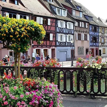 Colmar,appart Chaleureux 2 Pas Centre Avec Jardin Colmar