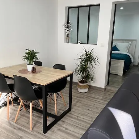 Colmar,appart Chaleureux 2 Pas Centre Avec Jardin Apartment Colmar