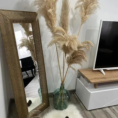 Apartment Colmar,appart Chaleureux 2 Pas Centre Avec Jardin