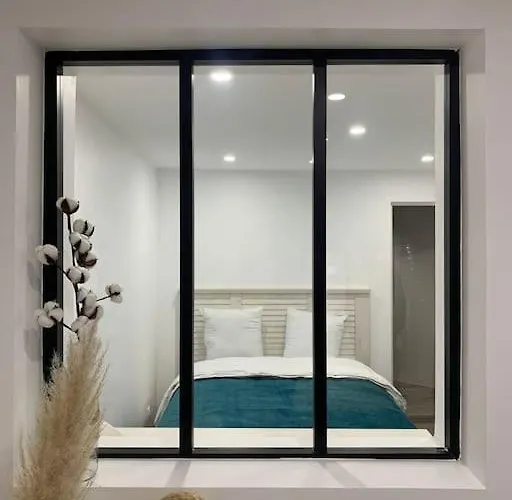 Appartement Colmar,appart Chaleureux 2 Pas Centre Avec Jardin