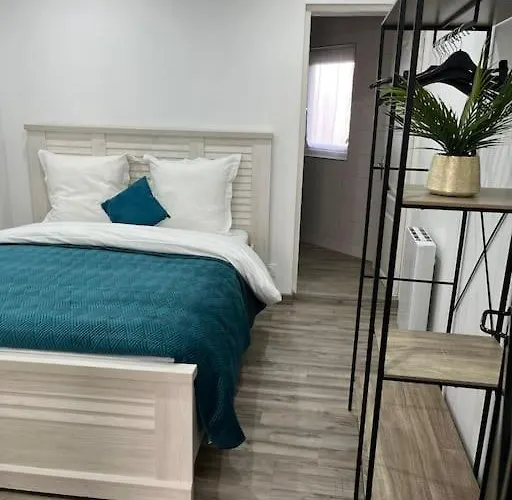 Colmar,appart Chaleureux 2 Pas Centre Avec Jardin * Colmar