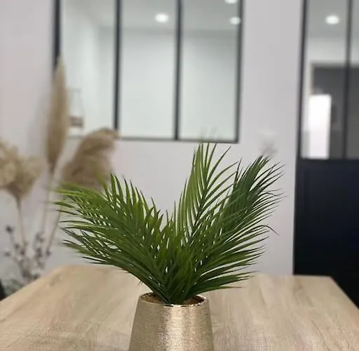 Appartement Colmar,appart Chaleureux 2 Pas Centre Avec Jardin *