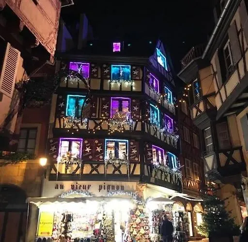 Colmar,appart Chaleureux 2 Pas Centre Avec Jardin Appartement *