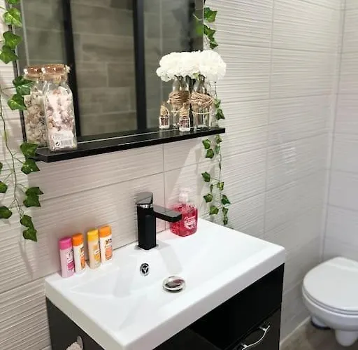 Colmar,appart Chaleureux 2 Pas Centre Avec Jardin Appartement