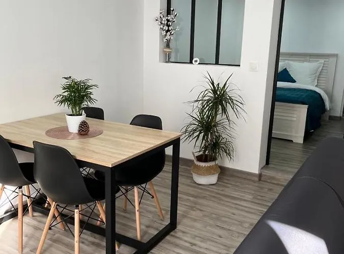 Colmar,appart Chaleureux 2 Pas Centre Avec Jardin Appartement Colmar